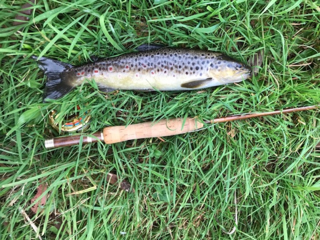Brown trout are as diverse as cane rods
