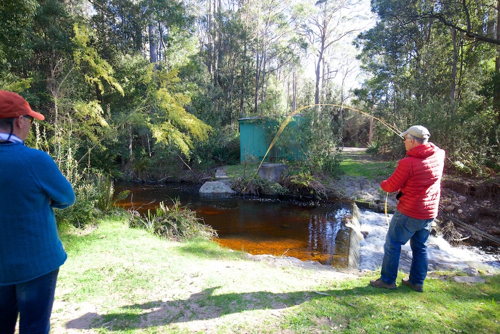 A typical small Tasmanian stream