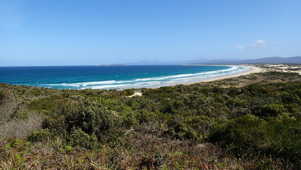 Tasmanian Coast