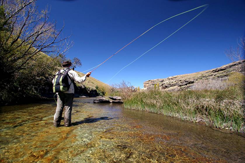 South African Stream