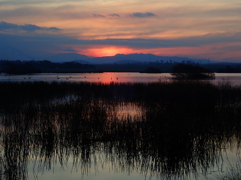 Dusk on Brumbies Creek