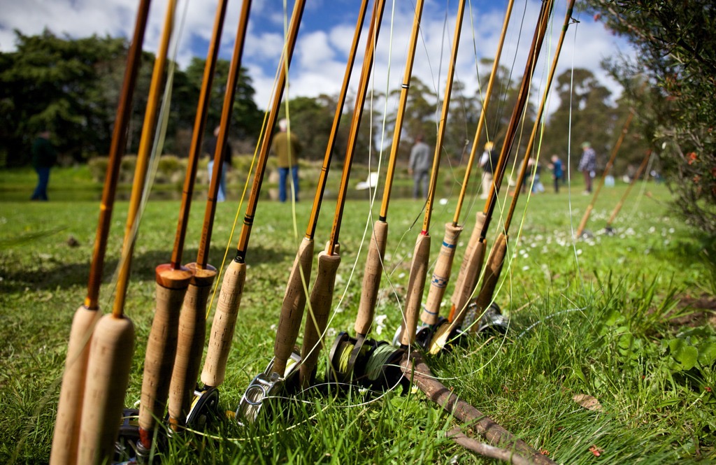 Rods for the rod swap exercise