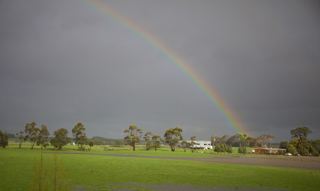 At the end of the rainbow... Hayes on Brumby's
