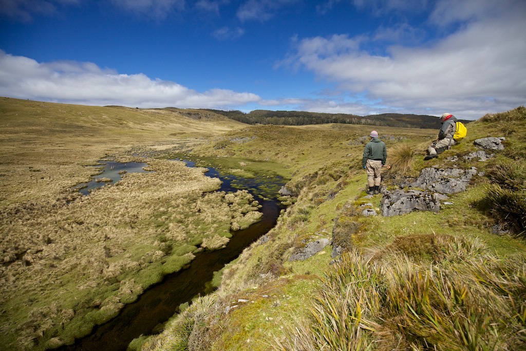 Wild, high country Tasmanian River