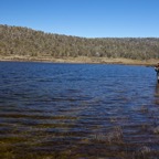 003-fergus-david-fishon1.jpg