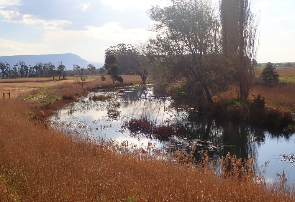 The lodge creek
