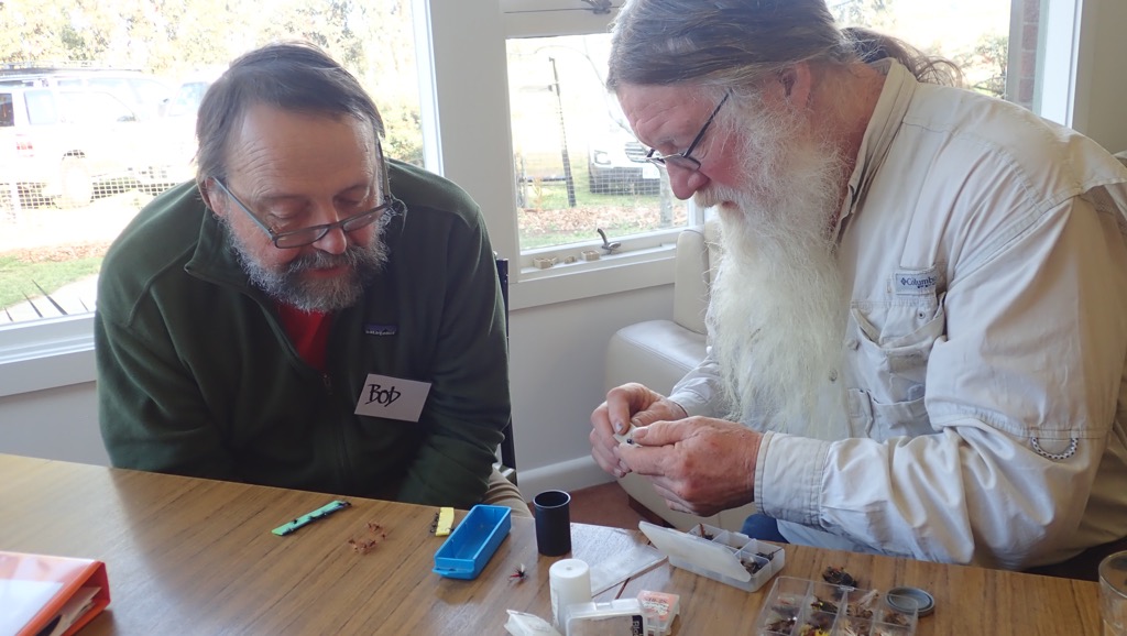 Hairy and Bob talk flies