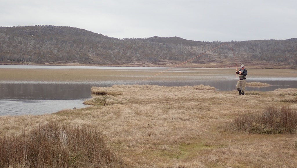 Tasmanian Western Lakes wild brown trout action