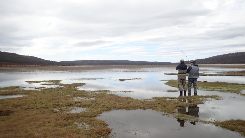 Tasmanian Western Lakes wild brown trout action