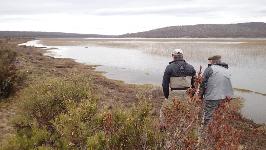 Tasmanian Western Lakes wild brown trout action