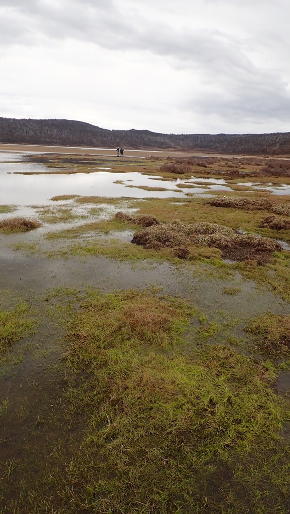 Tasmanian Western Lakes wild brown trout action