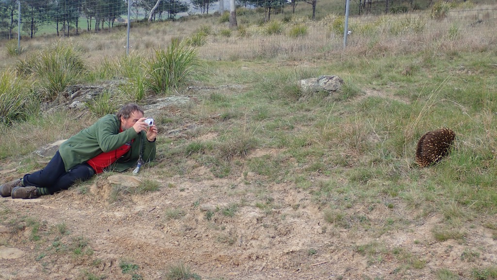Bob Clay gets up close and personal with an Echidna.  Stright to the pool room!