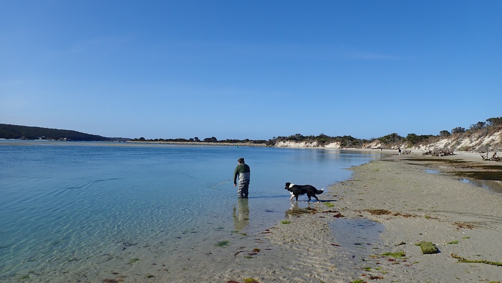 Swinging wets at St Helens for Australian Salmon