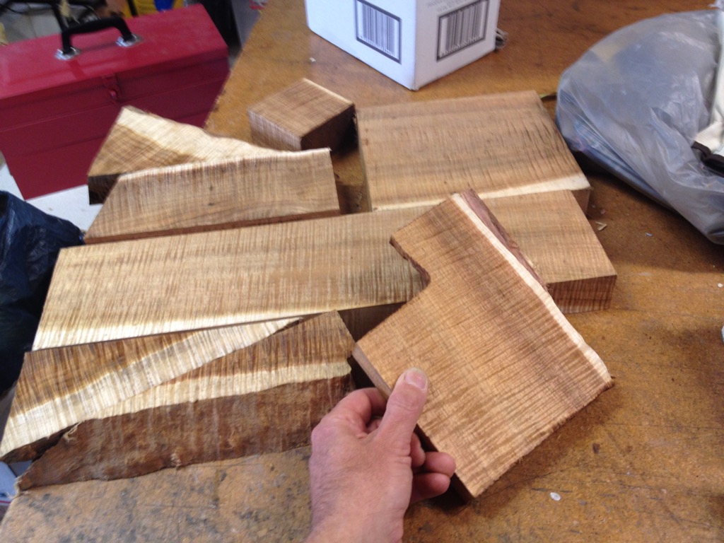 Fiddleback blackwood for reelseats and landing net handles